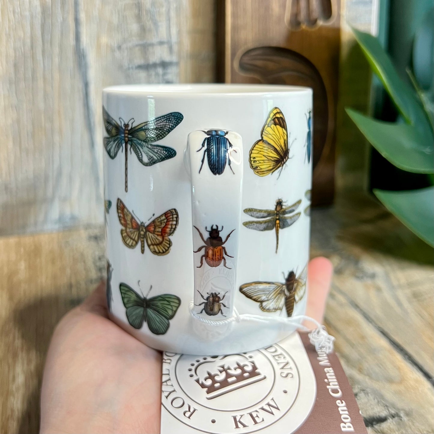 Brand New Royal Botanic Kew Gardens Insect / Bug Coffee Mug Bone China