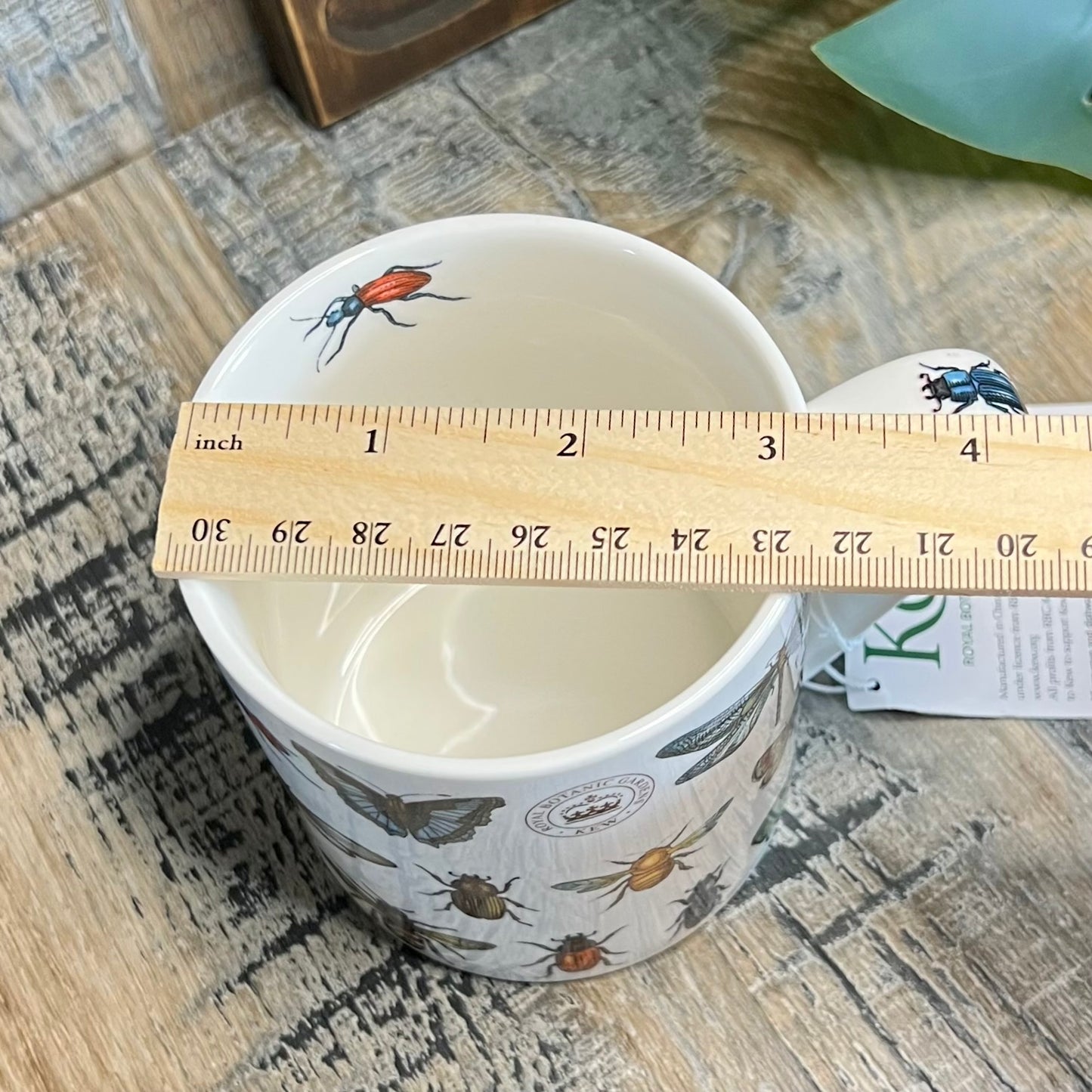 Brand New Royal Botanic Kew Gardens Insect / Bug Coffee Mug Bone China
