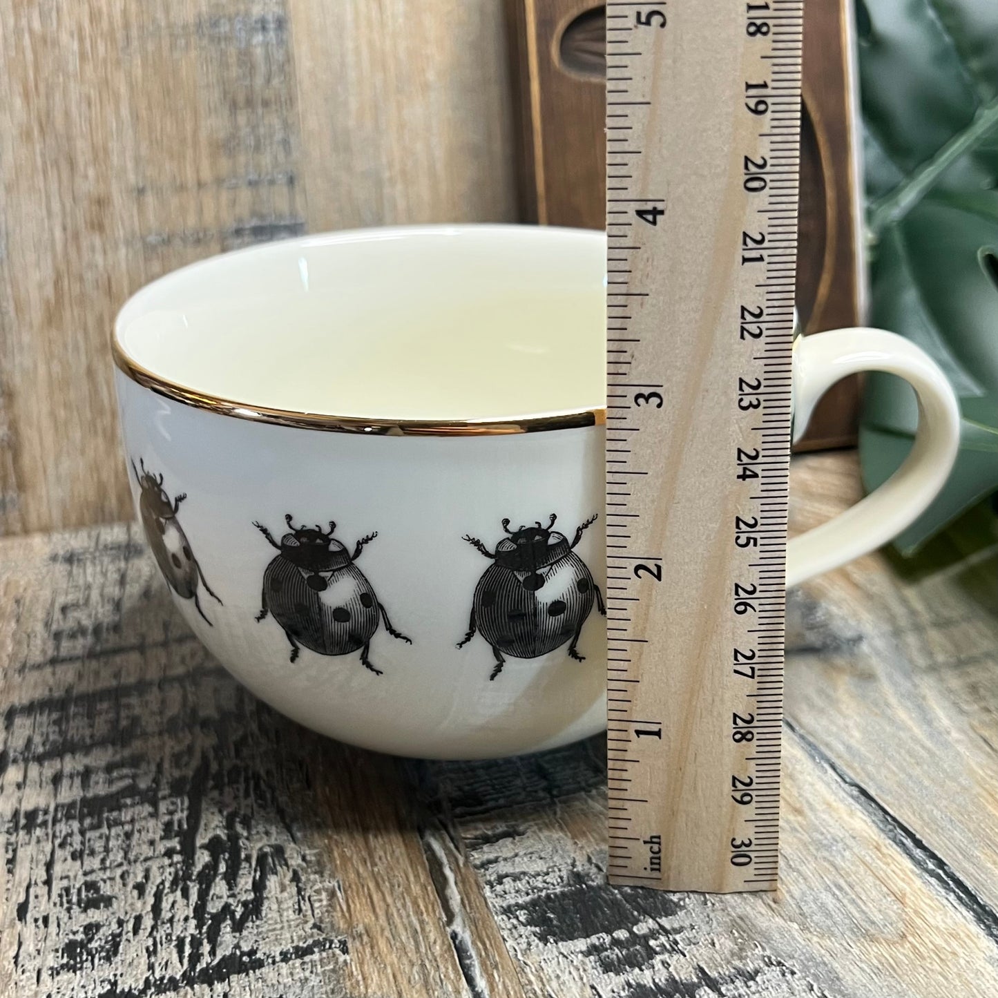 Beautiful H&M Large Insect / Bug Cup Set of 2