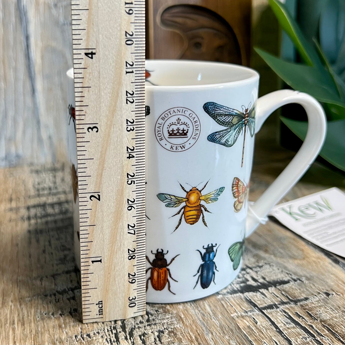 Brand New Royal Botanic Kew Gardens Insect / Bug Coffee Mug Bone China