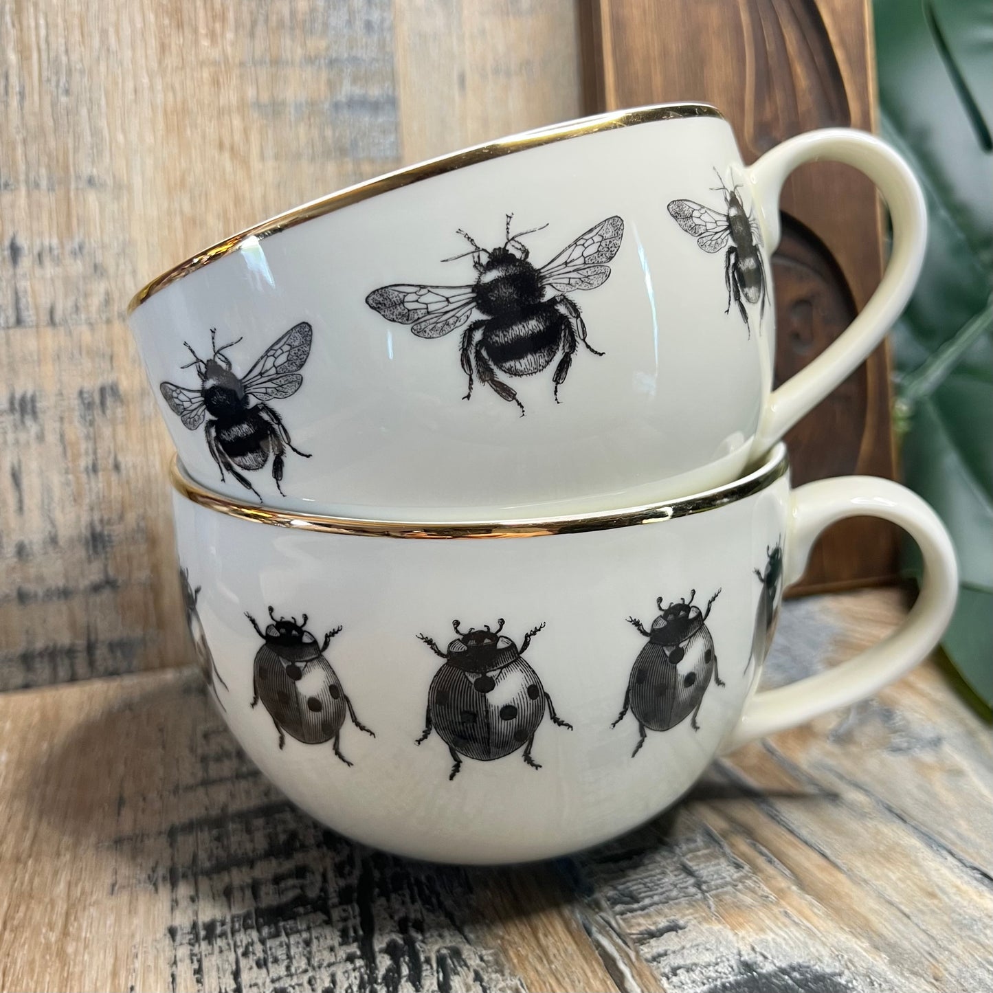 Beautiful H&M Large Insect / Bug Cup Set of 2