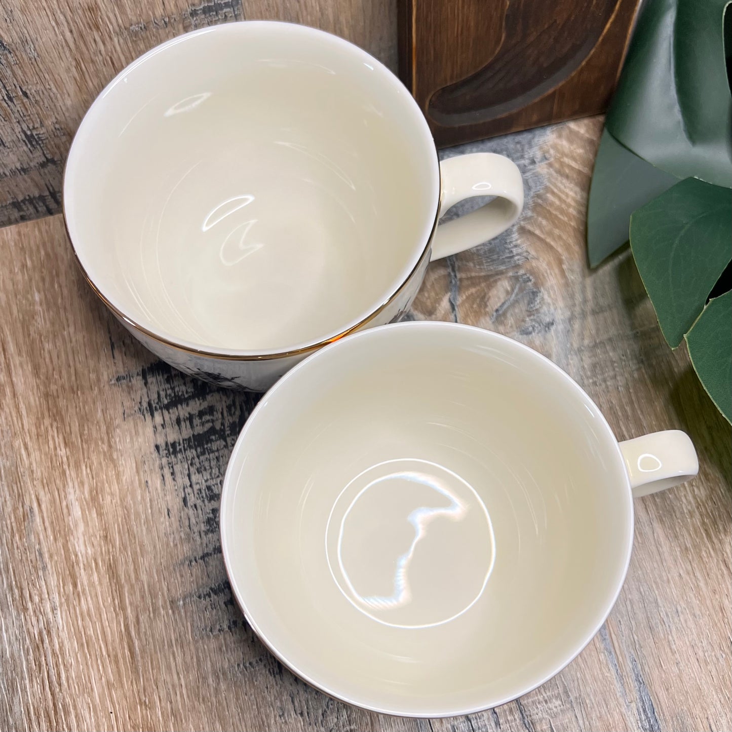 Beautiful H&M Large Insect / Bug Cup Set of 2
